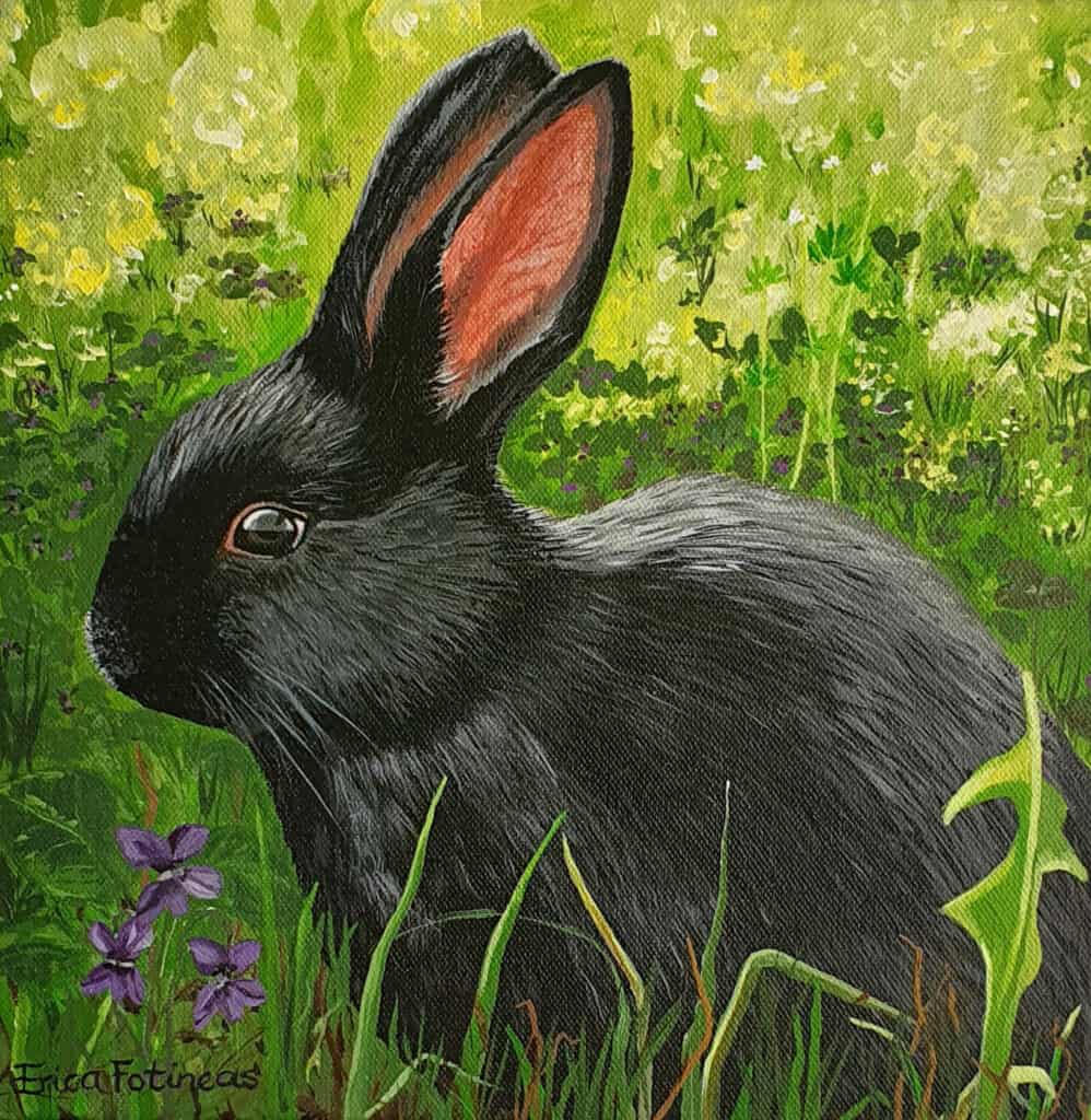 Little Rabbit by Erica Fotineas