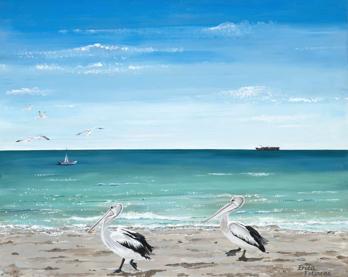 Pelicans at the Beach